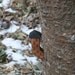 Fairy Chimney, Faerie Chimney, Gnome Chimney, Elf Chimney, Hobbit Chimney