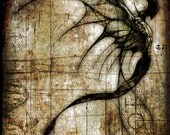 Idolomantis diabolica  - jesse lindsay 2008