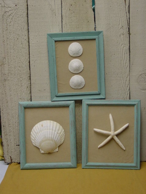 SET OF THREE beach cottage chic framed shells / beach theme wedding decor / Tiffany blue frames with white fingerling starfish / handcrafted