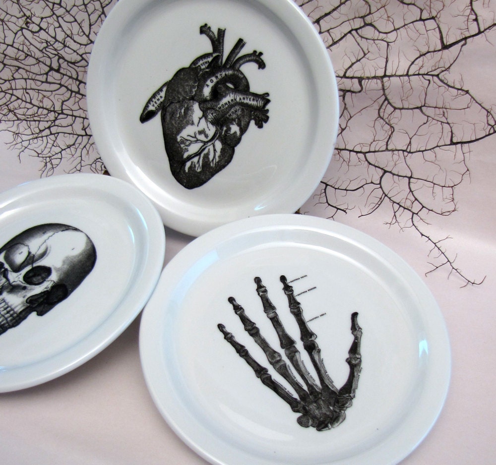 3 Anatomical Dishes Plates Skull, Skeleton Hand, Heart - Chase and Scout Austin Texas