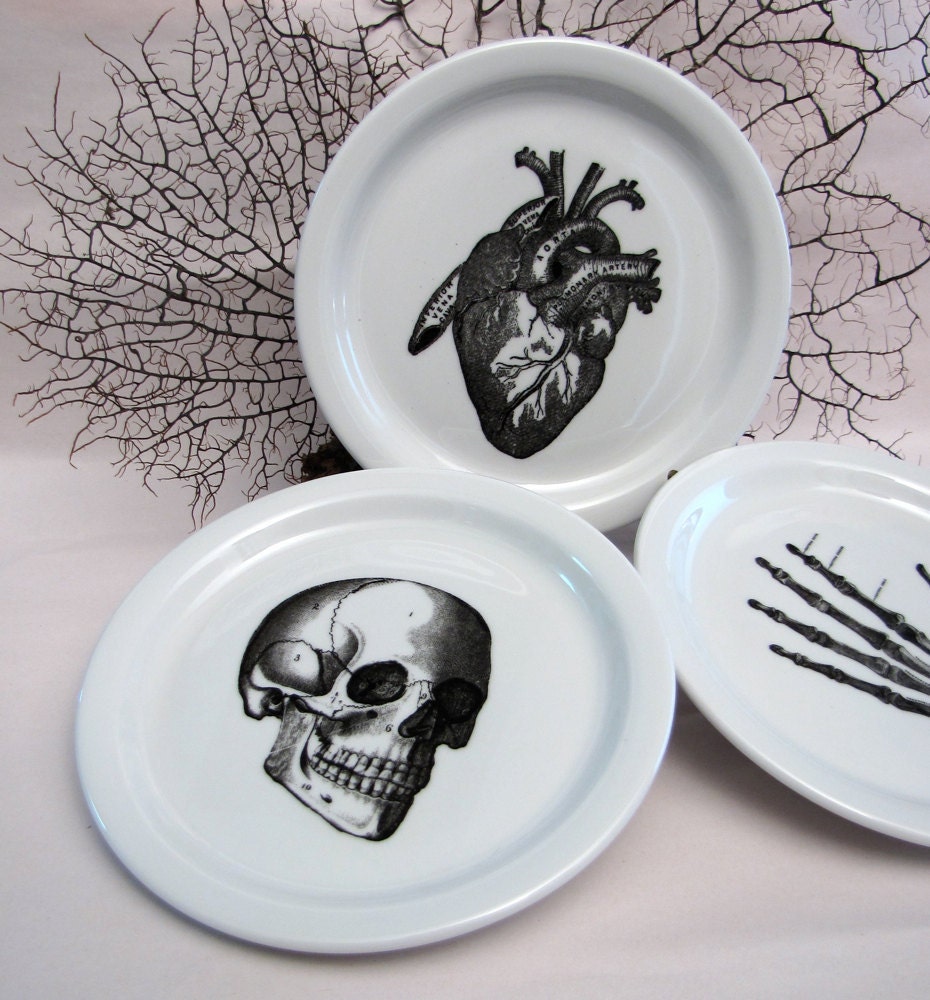 3 Anatomical Dishes Plates Skull, Skeleton Hand, Heart - Chase and Scout Austin Texas