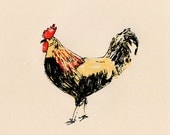 Rooster