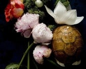 Botanical No. 0002 -  limited edition numbered print