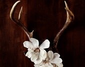 Antler No. 6944