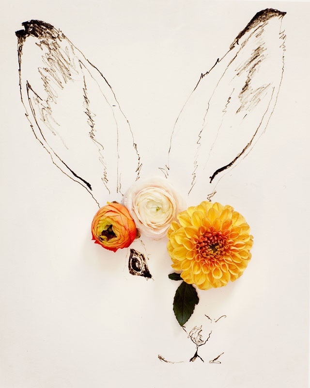 Rabbit No. 0048