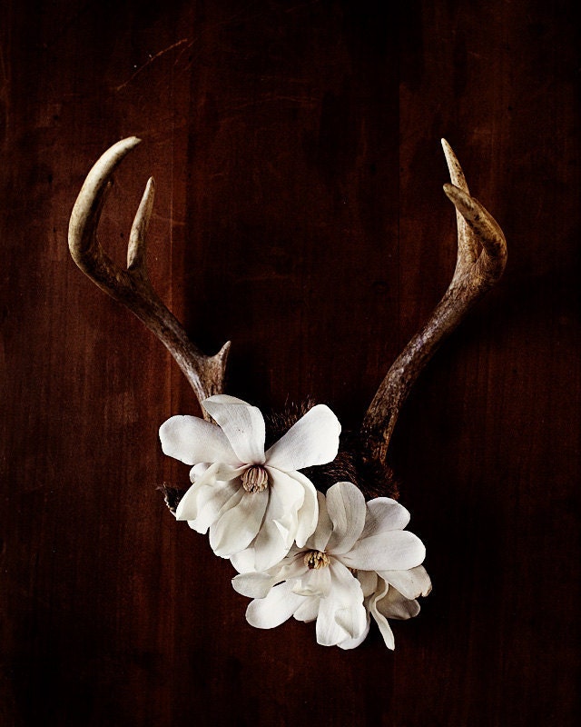 Antler No. 6944