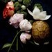 Botanical No. 0002 - limited edition numbered print