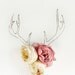 Antler drawing and flower photograph 4217