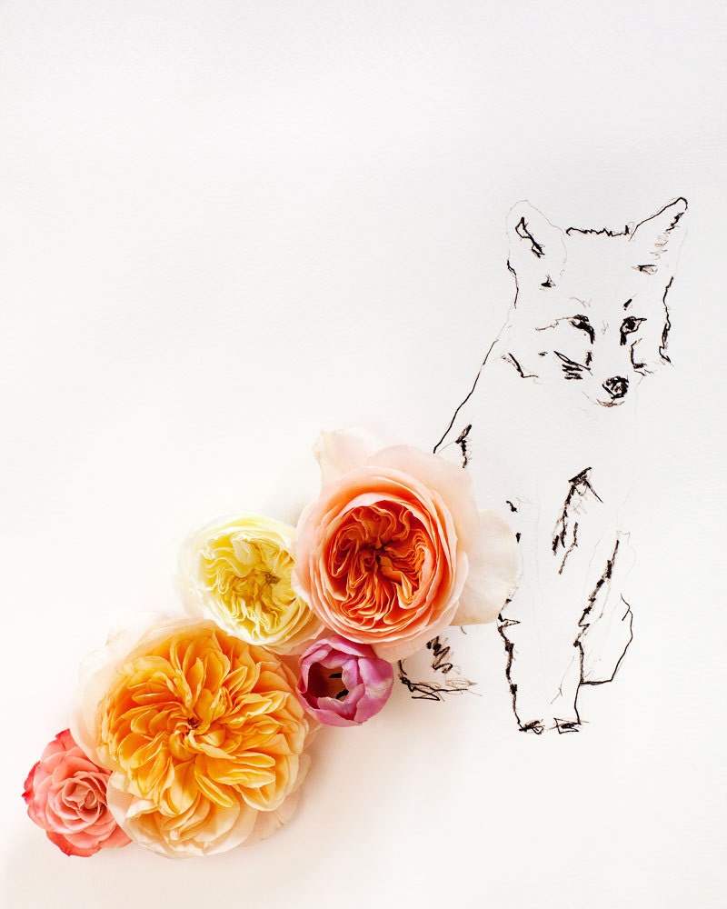 Fox and Flower No. 9890