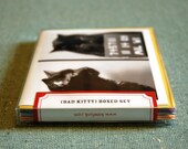 AC bad kitty boxed set