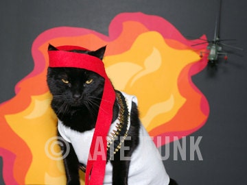 AC is Rambo greeting card