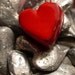 Red heart photograph 5x7