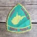 vintage c. 1960s-70s JUNIOR NATURALIST patch // West Virginia