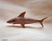 eensy shark
