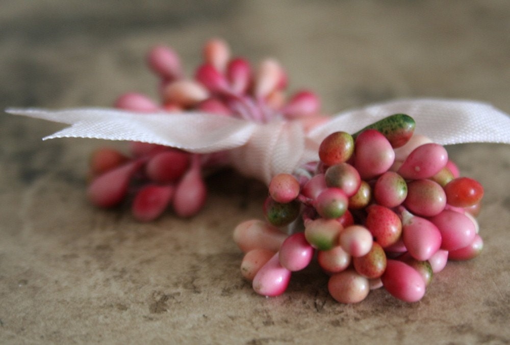 cherry blossom double ended stamens
