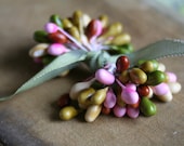 spring garden......tiny double ended stamens