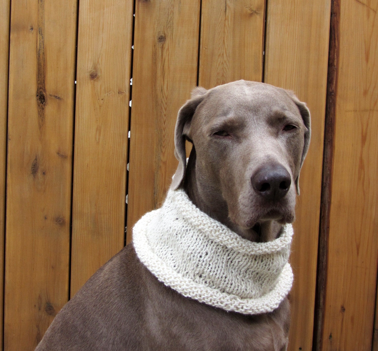 MOD DOG Luxe Hand Knit Dog Cowl in Winter White