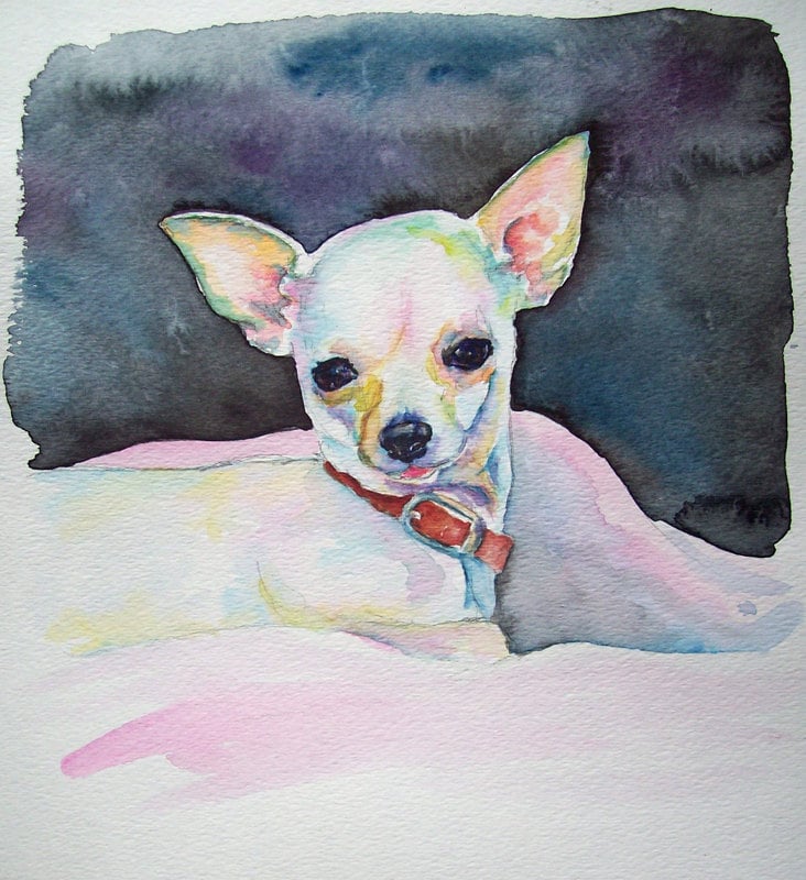 Chihuahua Original watercolor painting - white dog pet portrait art