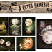 Cuter Universe SIX PRINT Set - 5X7 Moon images by Meluseena