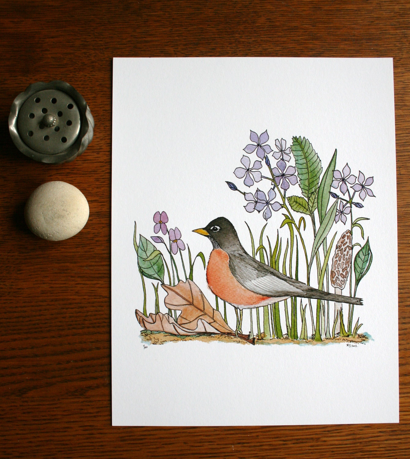 Spring Robin - Watercolor Bird Art Print