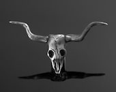Longhorn Pewter Knob