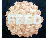 Feed