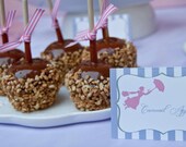 Jolly Holiday Placecards Mary Poppins Tea Party Birthday Party Food Signs Set of 4 by Belleza e Luce Il_170x135