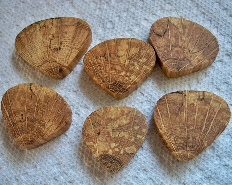 Lot of 6 Spalted Oak Tree Branch Buttons or Pendant pieces....1 1/8 inch to 1 1/4 inch....11