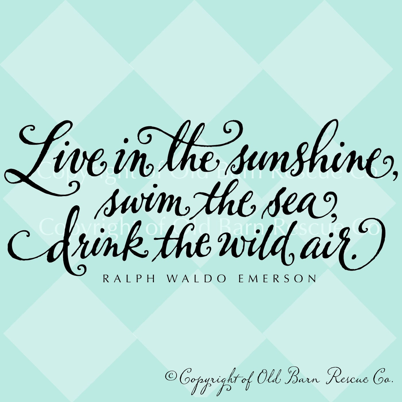 Live in the sunshine, swim the sea, drink the wild air - wall vinyl home decor lettering graphic calligraphy