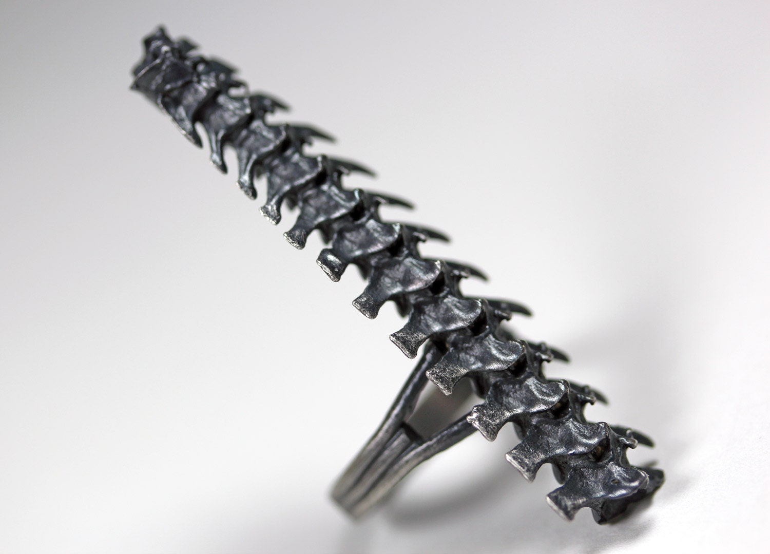 djed. rattlesnake spine ring.