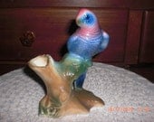 Royal Copely Blue Parakeet Flower Frog