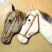 Vintage Fur Horses, Mixed Media Art Equestrian Folk Art Wall Hanging