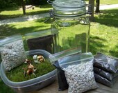 SALE - Whimsical Woodland Terrarium Kit