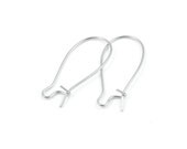 Silver Kidney Wire Earring Hooks - 48 1 Inch 1" Findings(FS27)