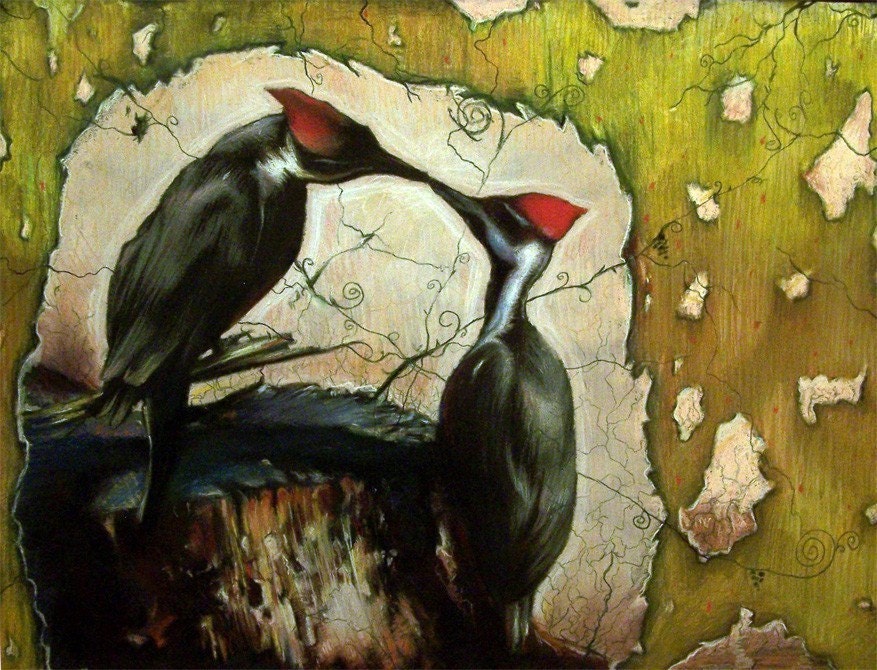Kissing Woodpeckers - Pastel - 8x10 Print - By Jeffrey Richter