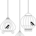 Birds in Birdcage Grouping Vinyl Wall Decals Stickers Art Graphics