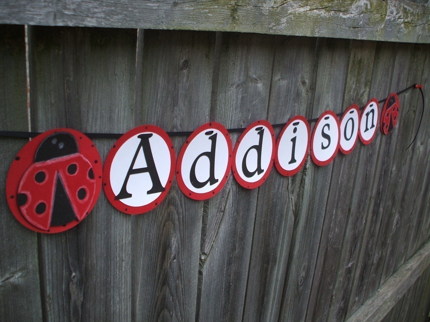 Ladybug  Name Banner