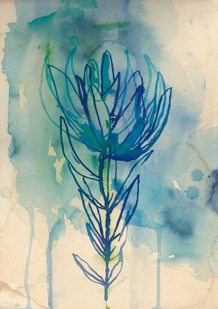 Blue Wash Protea A4 fine art print - a Sweet William illustration on archival paper.