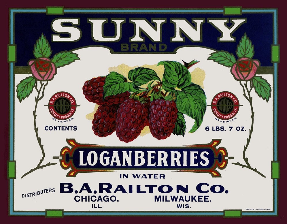 Sunny Loganberries  Refrigertor Magnet  - FREE US SHIPPING