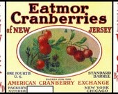 Fenwick Cranberry Kitchen Large Refrigerator Magnet - FREE US SHIPPING