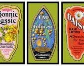 Three Vintage Perfume Refrigerator Magnet - FREE US SHIPPING