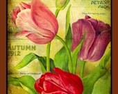 Bulb and Seeds Refrigerator Magnet - FREE US SHIPPING