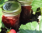 Strawberry Jam Preserves 8 oz Jar Organic