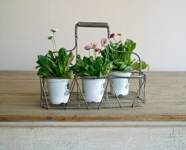 Antique Wire Metal Milk Bottle Carrier, Muliti- Use, Garden, Wine Rack, Organizer