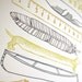 Things That Are Long LETTERPRESS POSTER 11x14