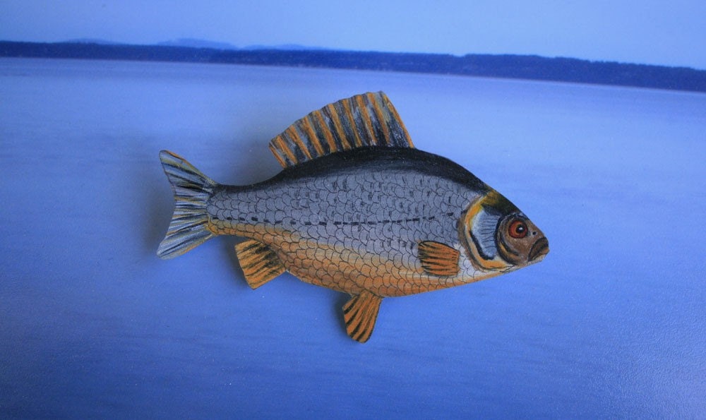 fish Brooch