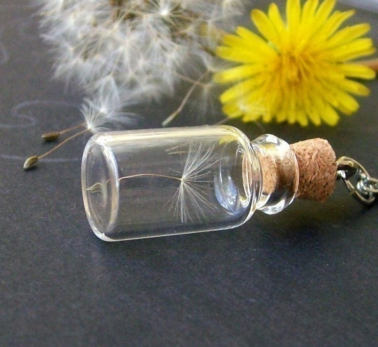 Dandelion Wish.