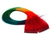 Rainbow Striped Hair Extensions - coontail streaks wefts wigs falls human hair