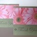Set of 24 Pink Daisy Mini Thank You Cards