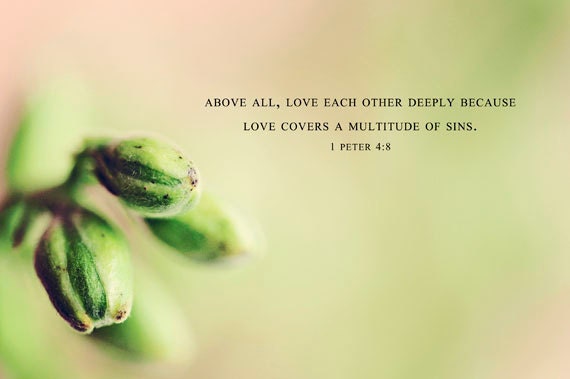 Bible - Green Spring Pink Still Life Nature Photography Fine Art Wall Art Photography Bokeh Flower Floral Print